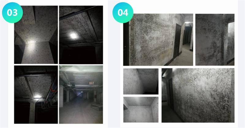 霉菌的溫床：地下車庫或儲(chǔ)藏室潮濕、滲漏...(圖2)